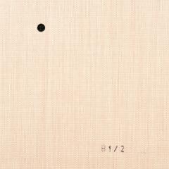 Obrázek: Látky pro Japonské posuvné stěny - BlackOut