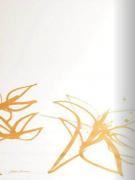 Obrázek: Látky pro Japonské posuvné stěny - BlackOut