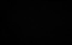 Obrázek: Závěs - D100224 - ZÁVĚS nebo ŘÍMSKÁ ROLETA