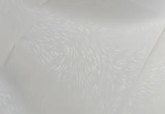 Obrázek: Záclona - VV- SARA - BONITO nebo ŘÍMSKÁ / LONDÝNSKÁ ROLETA