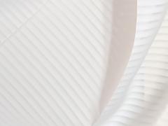 Obrázek: Záclona - VV- CORDELIA nebo ŘÍMSKÁ / LONDÝNSKÁ ROLETA