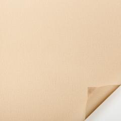 Obrázek: Roleta interiérová textilní LZH50 - látky průhledné a průsvitné